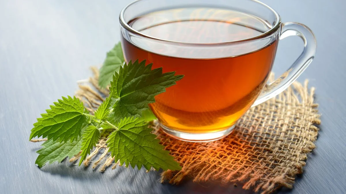 Tasse en céramique blanche avec tisane chaude de menthe poivrée