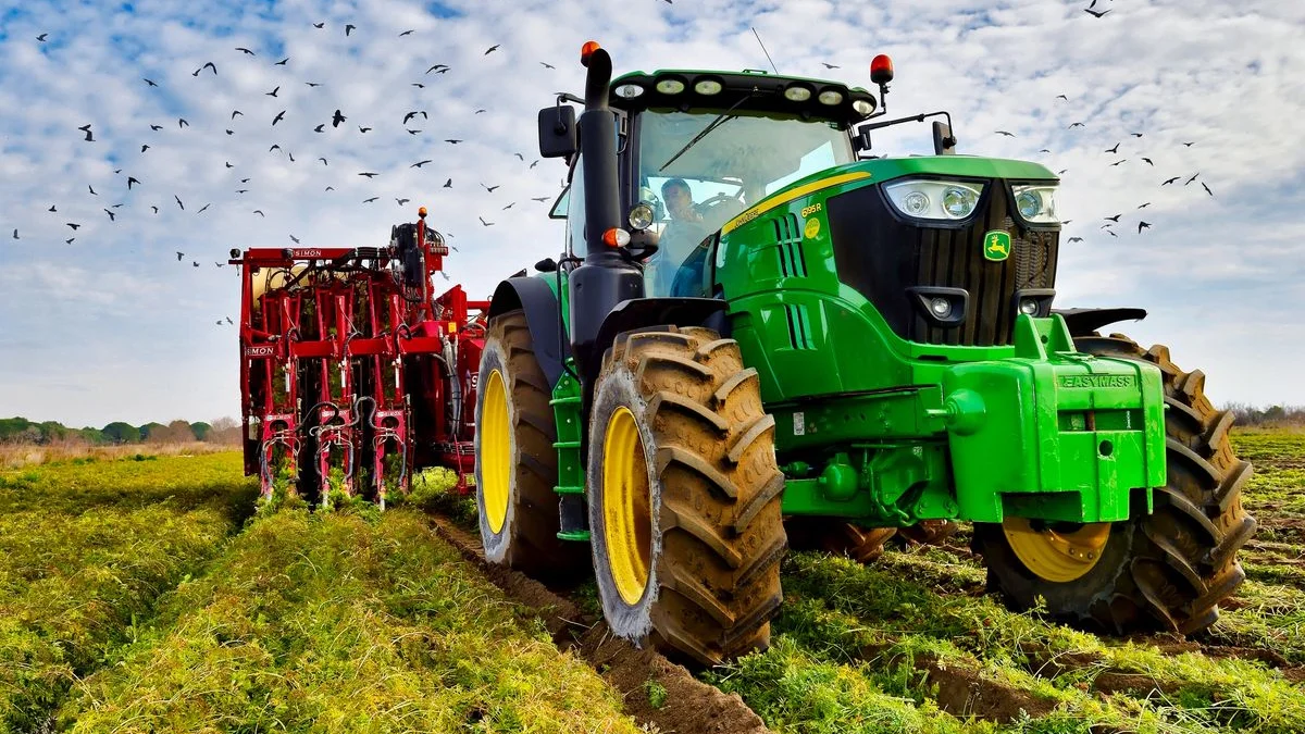 Graines de fenugrec dorées dans une cuillère en bois sur un plan de travail